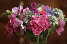 strauß 10.9..webp