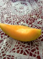 Melone1.webp