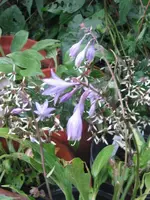 001_576x768.webp