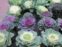 021.webp
