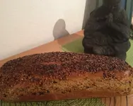 Nigella brot.webp