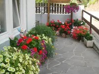 SAM_1510.webp