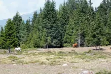 2013_0902Sommer0035 vigeljoch.webp
