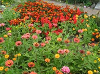 SAM_1586.webp