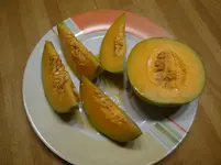 erste Melone2.webp