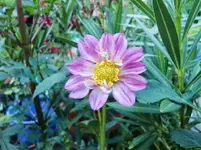 CIMG0894.webp