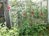 CIMG0436.webp