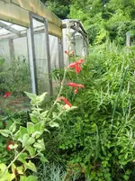 CIMG0437.webp