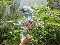CIMG0422.webp