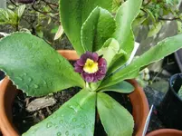 CIMG0426.webp