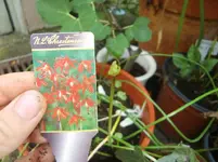 CIMG0457.webp