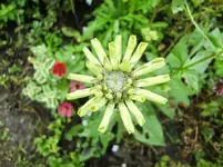 CIMG0439.webp