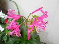 DSCN2598.webp