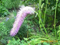 sept04 001.webp