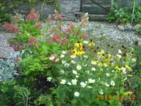 sept04 007.webp
