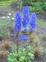 sept04 011.webp