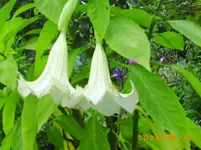 sept04 012.webp