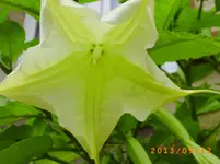 sept04 016.webp