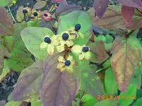 sept04 023.webp