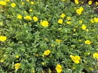 DSCF1359.webp