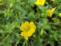DSCF1360.webp