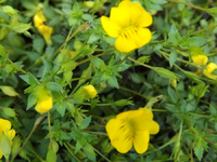 DSCF1361.webp