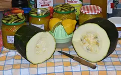 DSC_7003_Reste.jpg