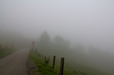 IMG_6884.webp