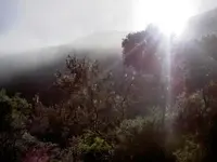 Morgenspaziergang (29) v.webp