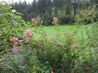 SAM_2112.webp