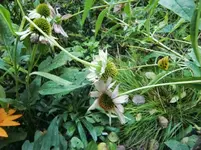 CIMG0648.webp