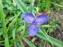 CIMG0624.webp