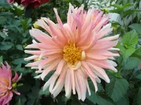 CIMG0554.webp