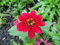 CIMG0638.webp