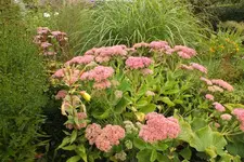 2013_0913Sommer0007.webp