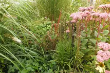 2013_0913Sommer0008.webp