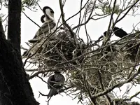 Copy of IMG_4905v.webp