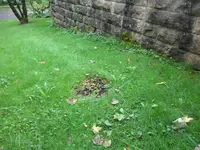 SAM_2105.webp