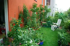 DSC_8879.2.webp