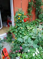 DSC_8918.2.webp
