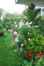 DSC_8922.2.webp