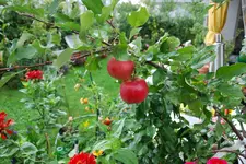 DSC_8888.2.webp