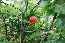 DSC_8904.2.webp