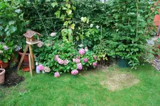 DSC_8909.2.webp