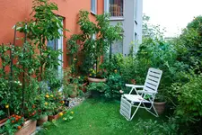 DSC_8931.2.webp