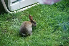 DSC_8963.2.webp