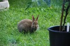 DSC_8978.2.webp
