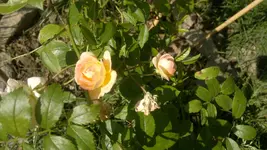 2013-09-13-3490.webp