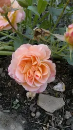2013-09-13-3492.webp