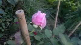 2013-09-13-3507.webp
